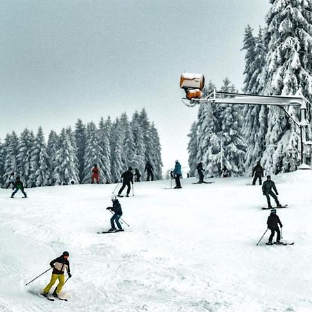 Feriendomizil Am Golfplatz-Moppis Hutte Appartement Winterberg Buitenkant foto