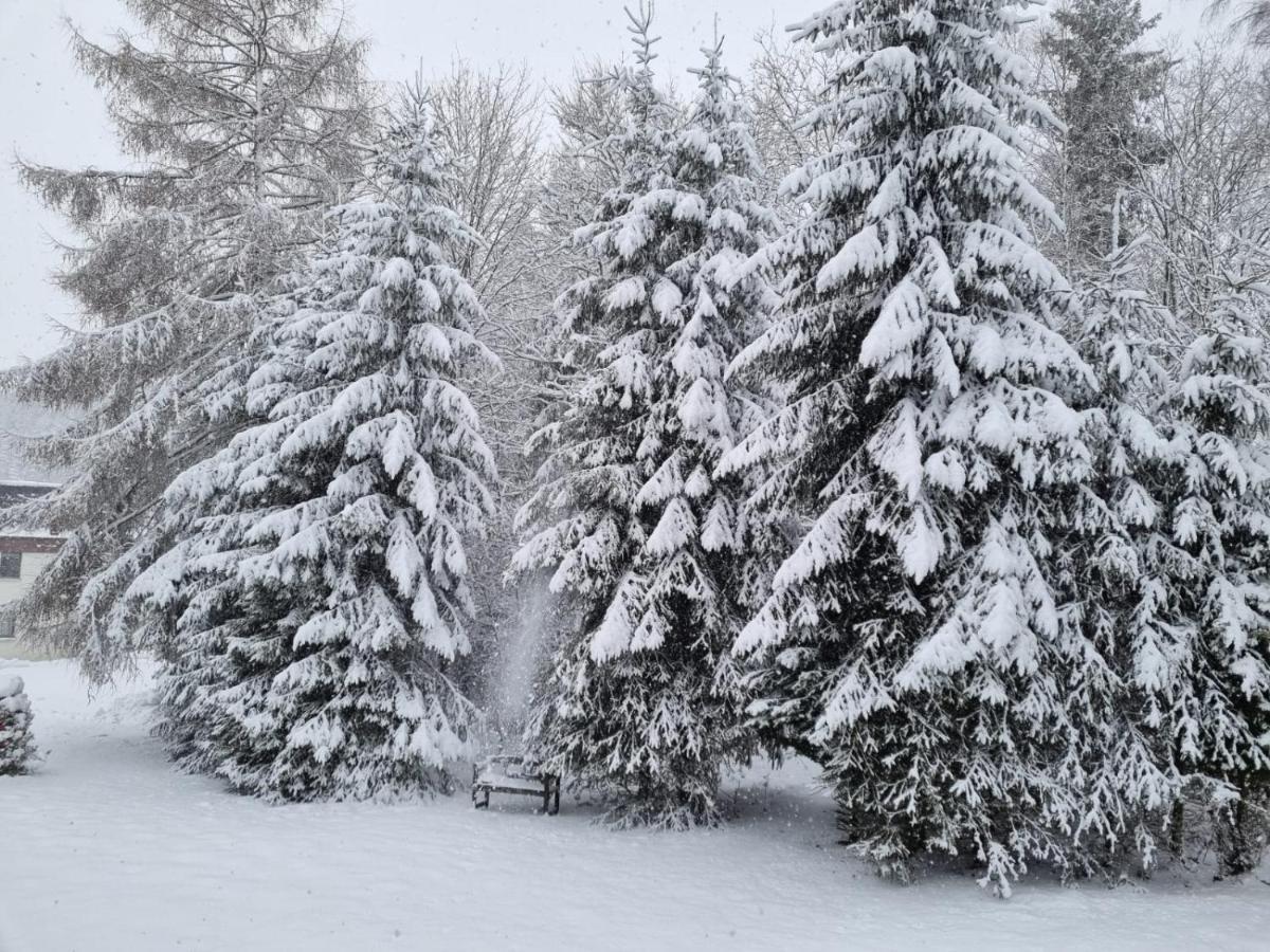 Feriendomizil Am Golfplatz-Moppis Hutte Appartement Winterberg Buitenkant foto